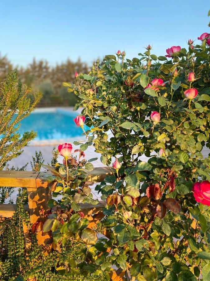 Agriturismo Le Giare Bagno Roselle Екстер'єр фото